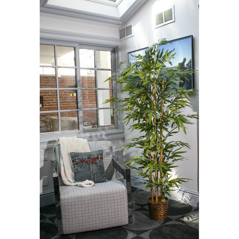 Wayfair 72" Tall High End Realistic Silk Bamboo Tree In Basket