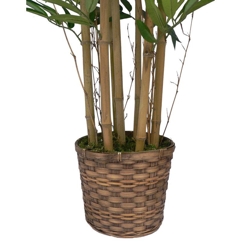 Wayfair 72" Tall High End Realistic Silk Bamboo Tree In Basket