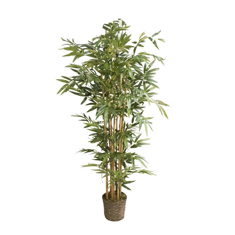Wayfair 72" Tall High End Realistic Silk Bamboo Tree in Basket