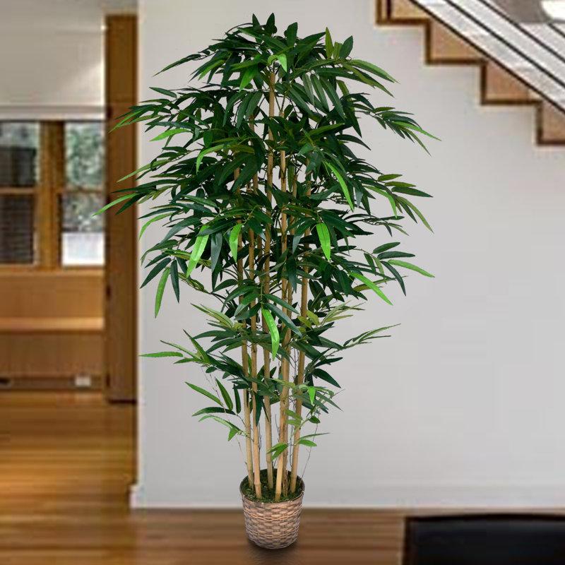 Wayfair 72" Tall High End Realistic Silk Bamboo Tree in Basket