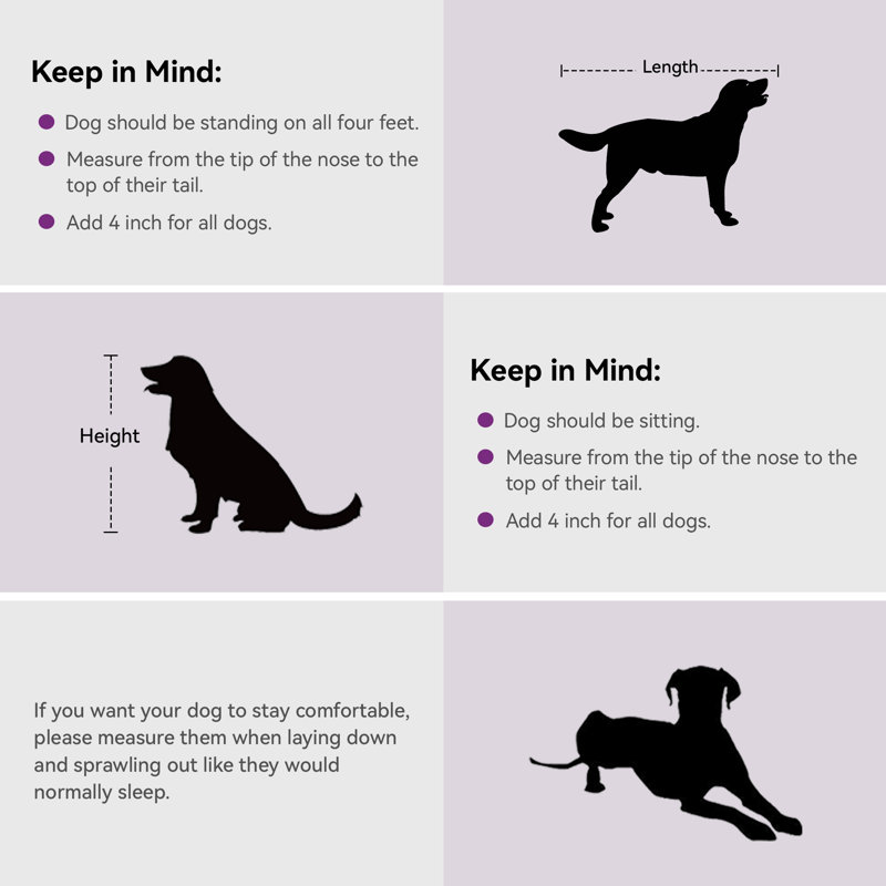 Wayfair Aarush 2-In-1 Furniture-style Dog Crate With Drawers