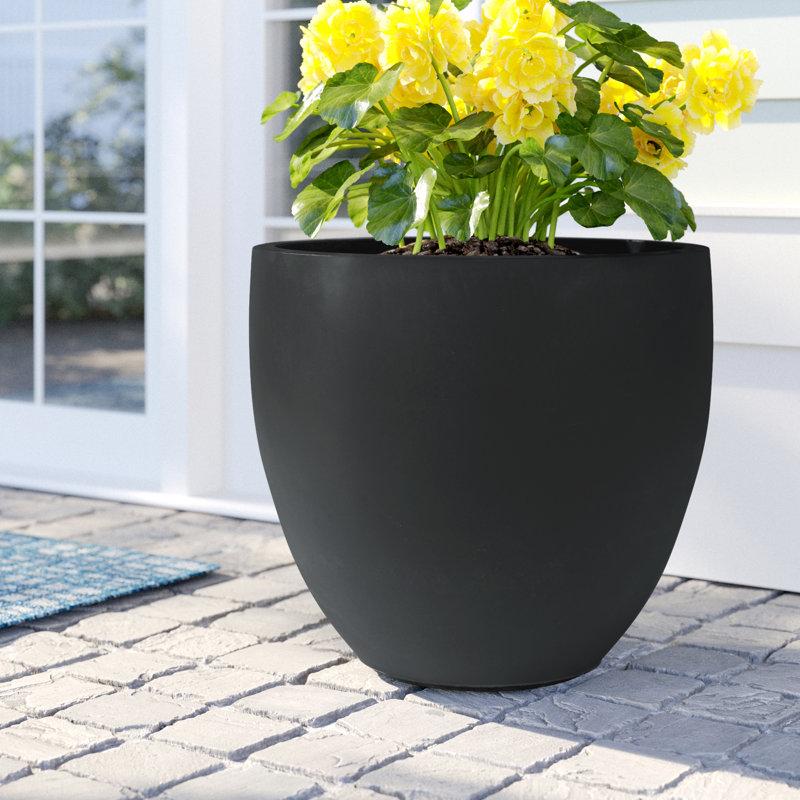 Wayfair Acushnet Round Indoor/Outdoor Modern Pot Planter With Drainage Hole