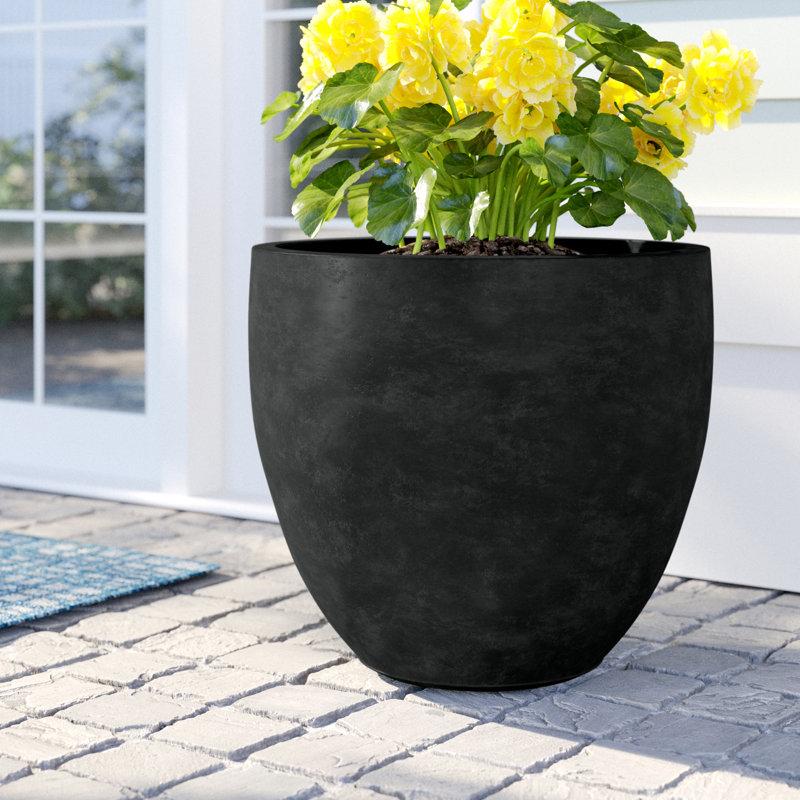 Wayfair Acushnet Round Indoor/Outdoor Modern Pot Planter With Drainage Hole