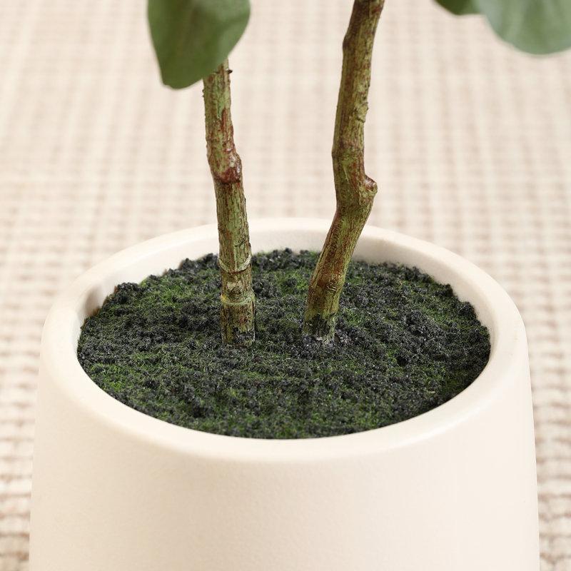 Wayfair Adcock Faux Eucalyptus Tree With Oval White Planter Pre Potted Artificial Eucalyptus Plant For Home Decor