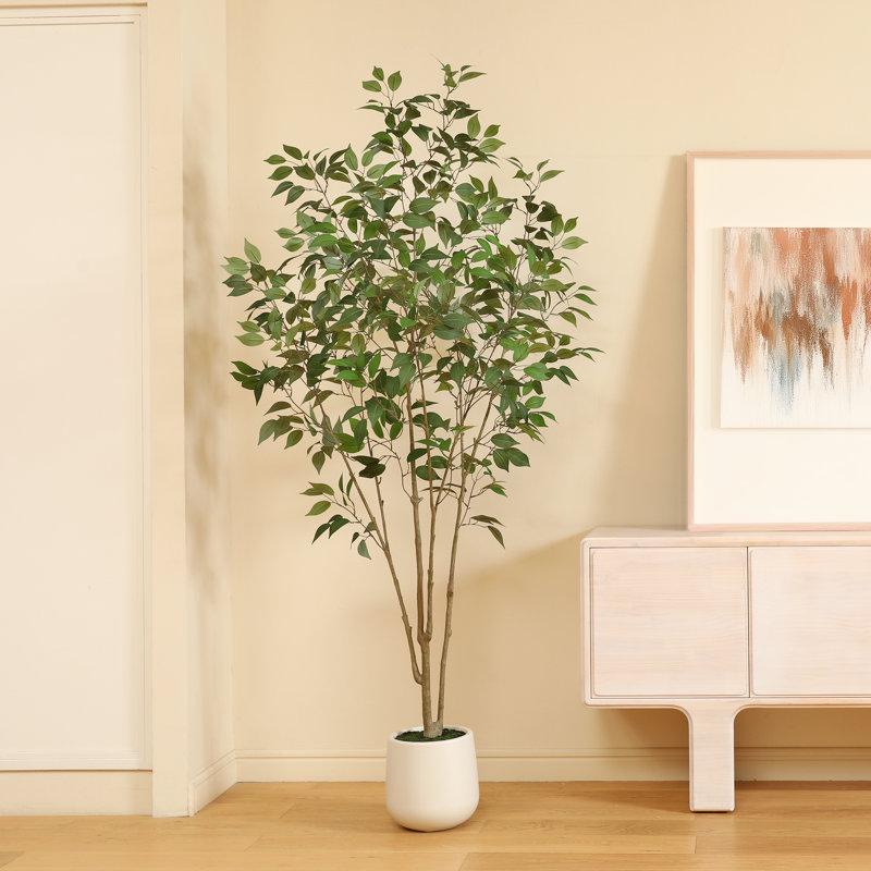 Wayfair Adcock Faux Ficus Tree With Round White Planter Pre Potted Faux Greenry Ficus Plant For Home Decor
