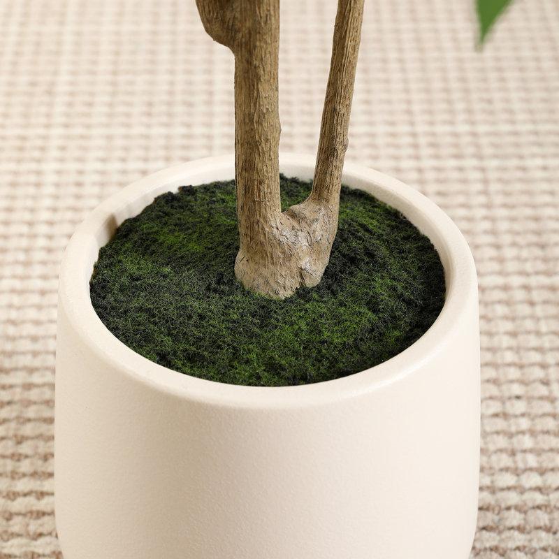 Wayfair Adcock Faux Ficus Tree With Round White Planter Pre Potted Faux Greenry Ficus Plant For Home Decor