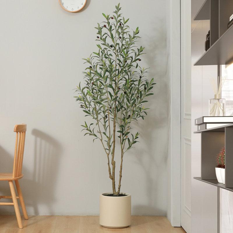 Wayfair Adcock Faux Olive Tree In White Planter Lifelike Fake Olive Plant For Indoor And Outdoor Decor