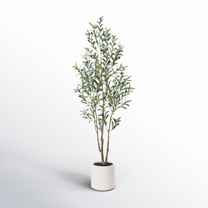 Wayfair Adcock Faux Olive Tree In White Planter Lifelike Fake Olive Plant For Indoor And Outdoor Decor