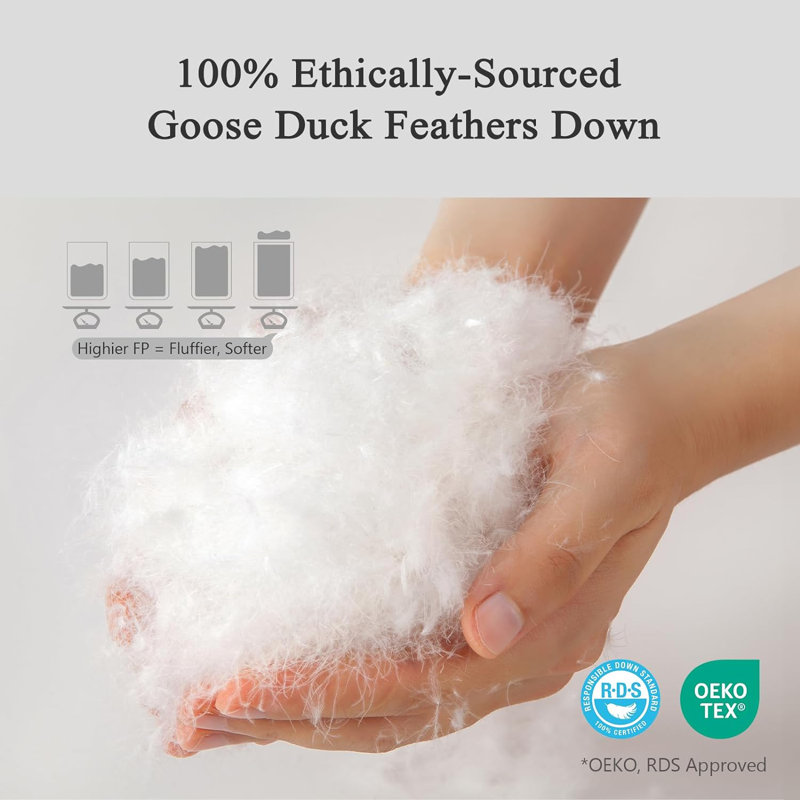 Wayfair All Season Feather Down Comforter Cotton Blend Cover Duvet Insert