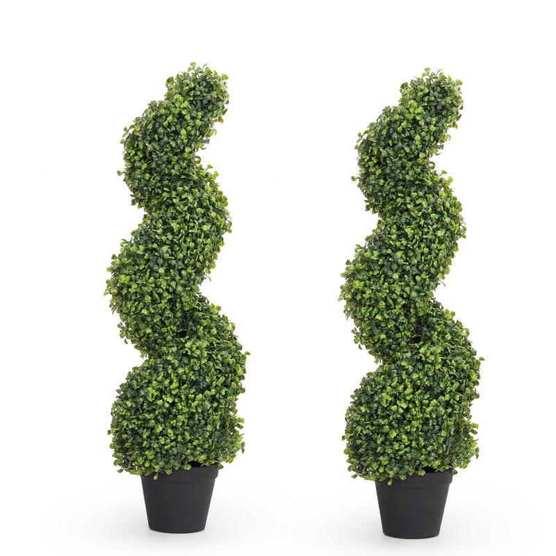 Wayfair Artificial Boxwood Spiral Topiary Black Plastic Potted Tree (Set of 2)