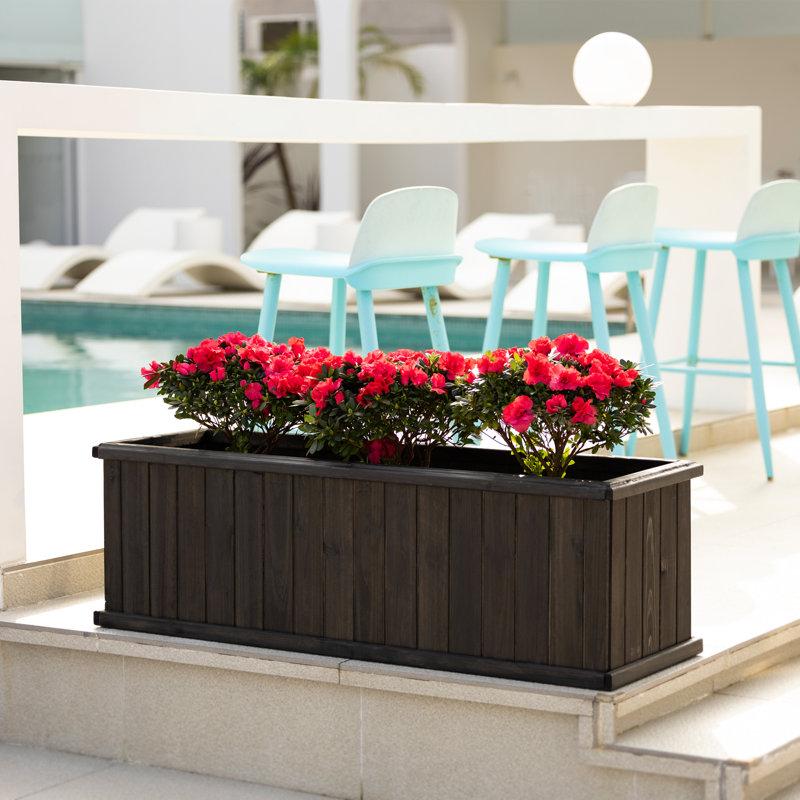 Wayfair Barros Outdoor Wood Planter Box New Green House Beauty And Hope Raised Garden Bed