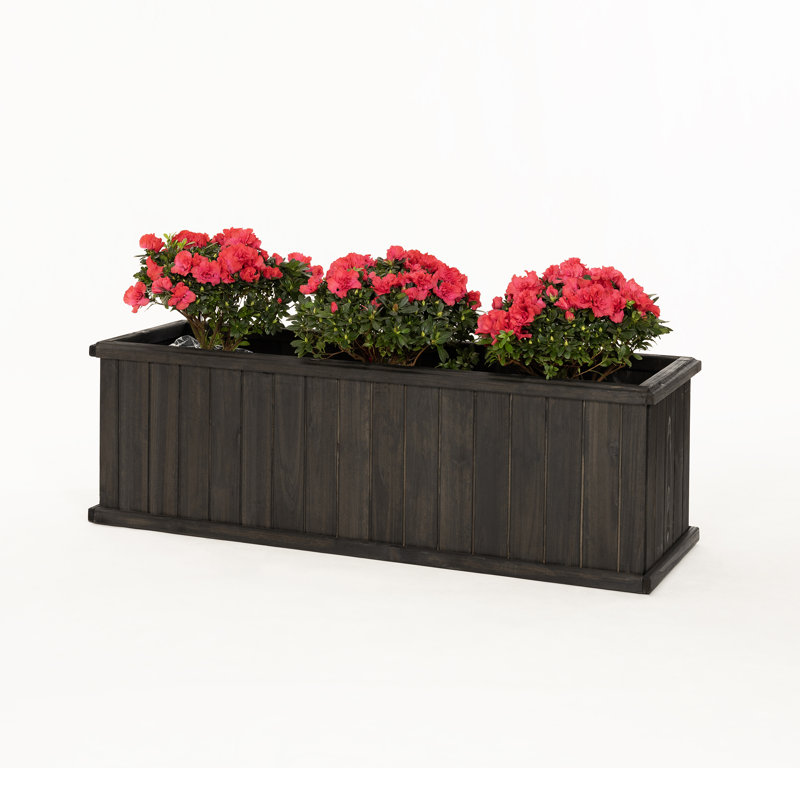 Wayfair Barros Outdoor Wood Planter Box New Green House Beauty And Hope Raised Garden Bed