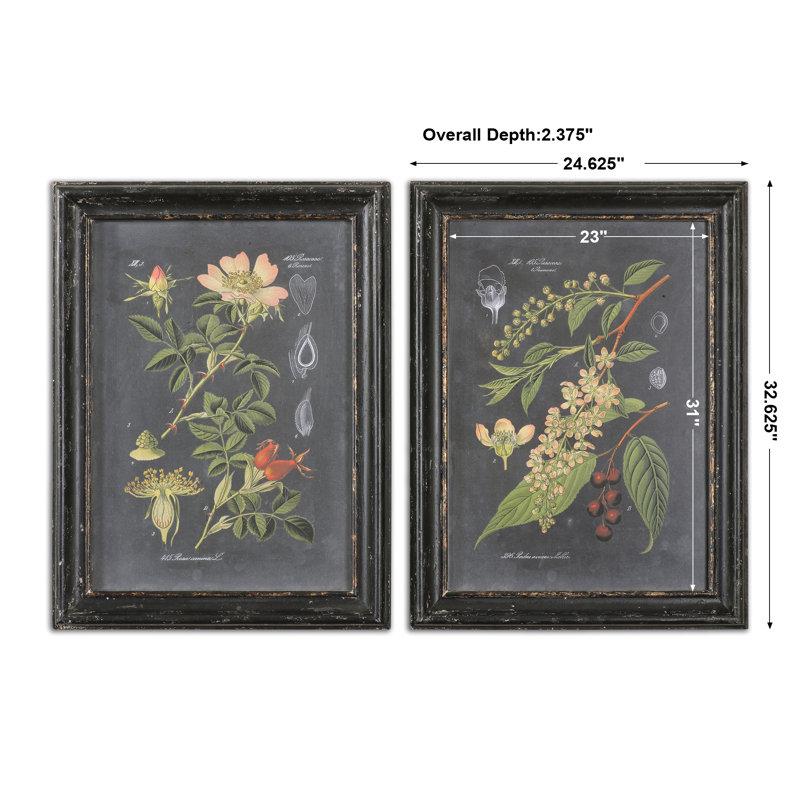 Wayfair Bergenfield " Midnight Botanicals " By Vision Studio 2 - Pieces