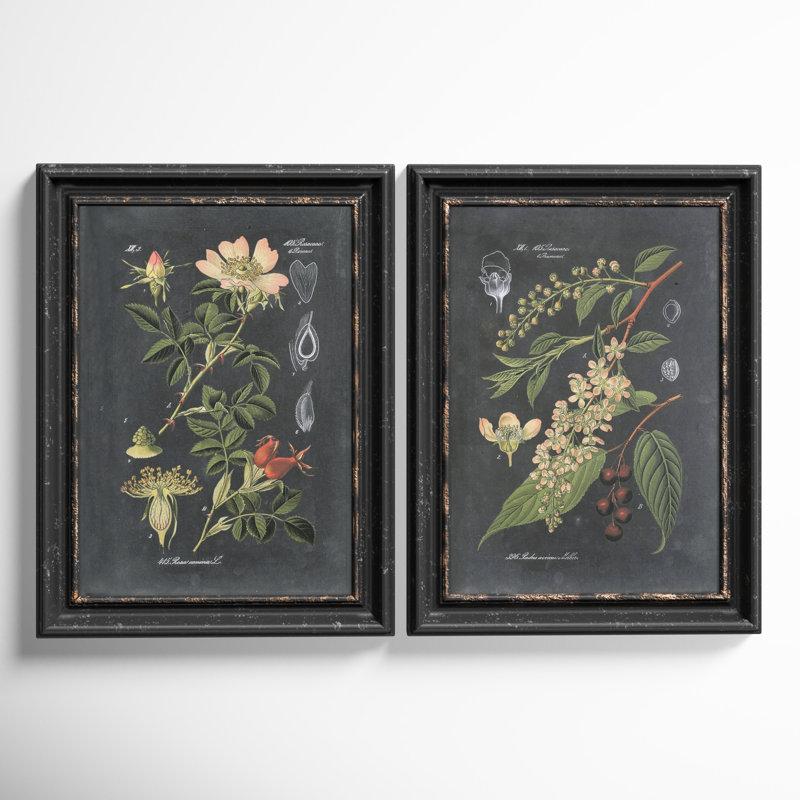 Wayfair Bergenfield " Midnight Botanicals " by Vision Studio 2 - Pieces