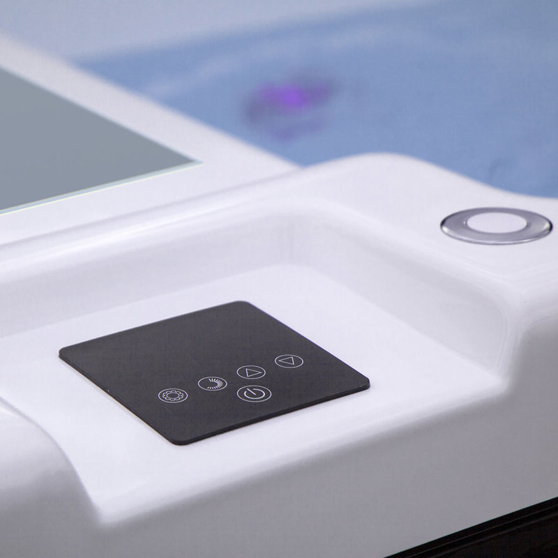 Wayfair Buenospa - Alaska Pro Acrylic Cold Plunge With Built-In Heater/Chiller