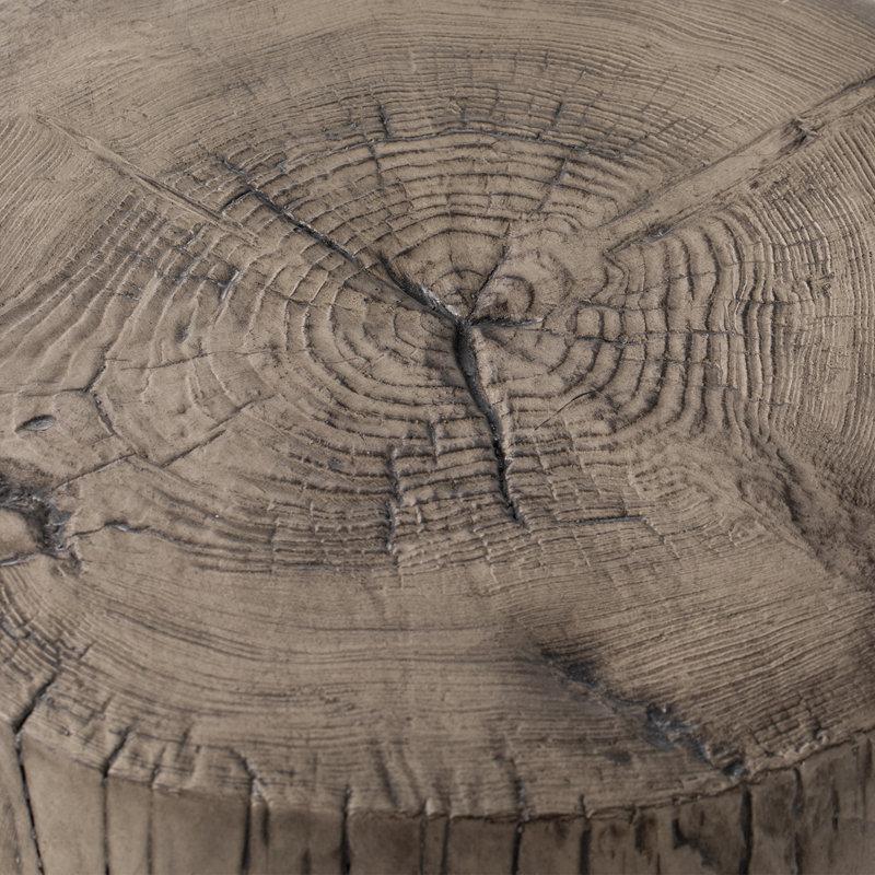 Wayfair Chariese 15'' Outdoor Concrete Side Table (Set Of 2)