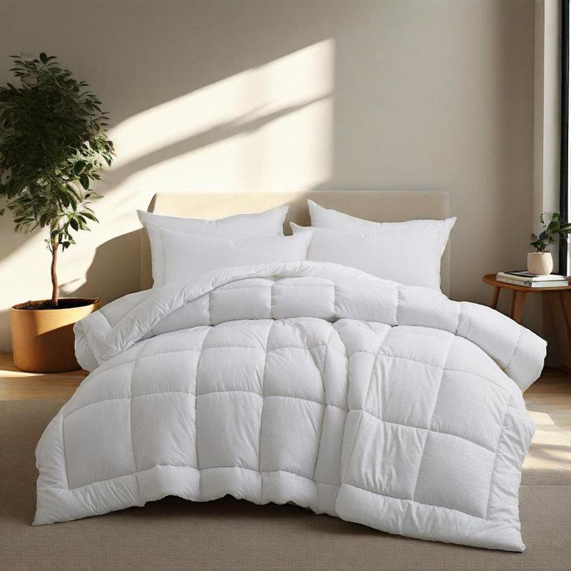 Wayfair Cleves Wayfair Sleep All Season Down Alternative Comforter