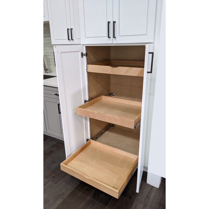 Wayfair Daiona Solid Wood Pull-Out Drawer Box – 21" Deep Cabinet Organizer In Multiple Widths Out Tray With Brackets