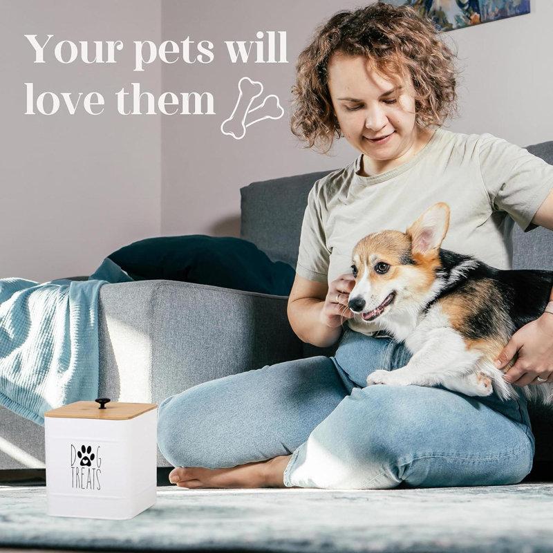 Wayfair Dog Treat Container Dog Treat Jar Set Of 2 With Airtight Lid Dog Cookie Jar For Kitchen Counter Pet Treat Container Dog Treat Canister And Storage