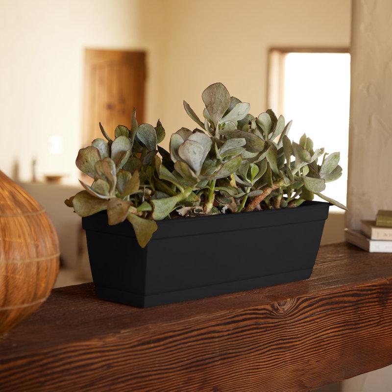 Wayfair Dura Cotta Traditional Plastic Indoor/Outdoor Rectangle Window Box Planter With Attached Saucer