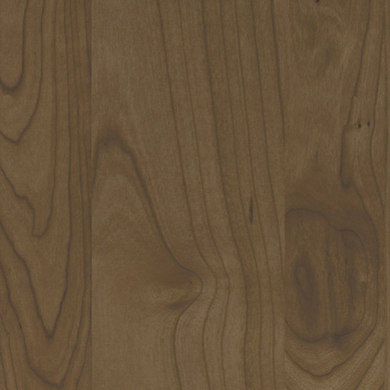 Wayfair Dwelling Livingston Rustic Hickory Cabinet Door Sample