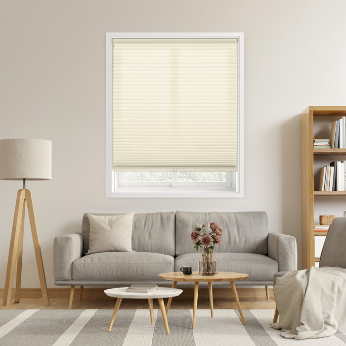 Wayfair EcoHome 1.5 Inch Cordless Semi-Sheer Light Filtering Cellular Shade