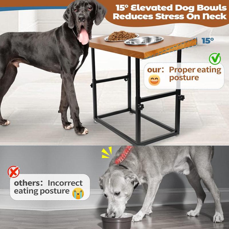 Wayfair Elevated Dog Feeder For Large Dogs - Adjustable Raised Dog Bowls With Stand Dog Food Water Bowls For Medium Large Dogs With 2 Bowls