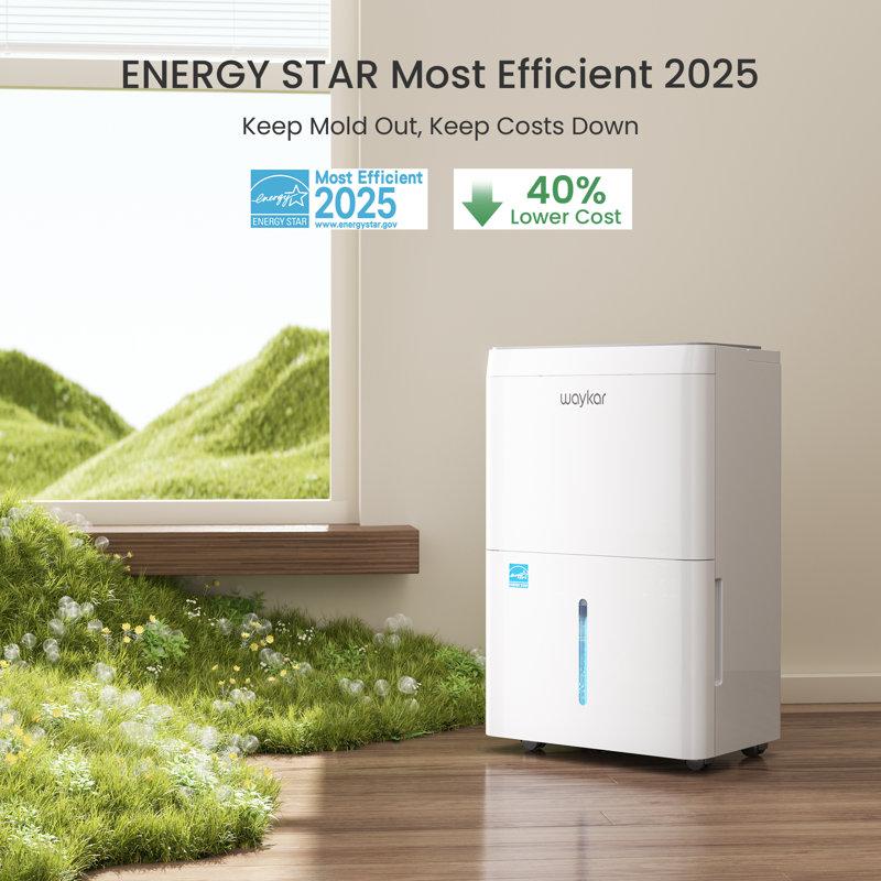 Wayfair Energy Star 2025 Dehumidifier For Basement & Home – 2000 Sq. Ft Coverage Ultra Quiet Drain Hose Included