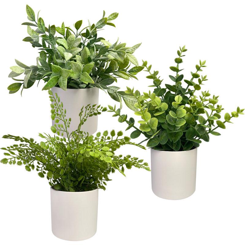 Wayfair Faux Plants 10'' Faux Plant in Ceramic Pot (Set of 3)