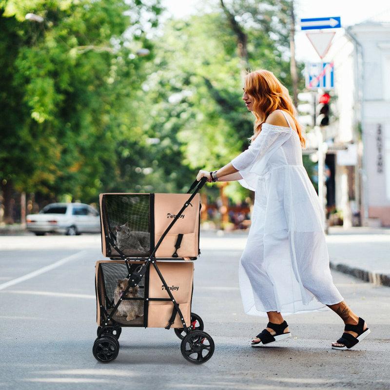 Wayfair Foldable Pet Stroller With Detachable Carrier