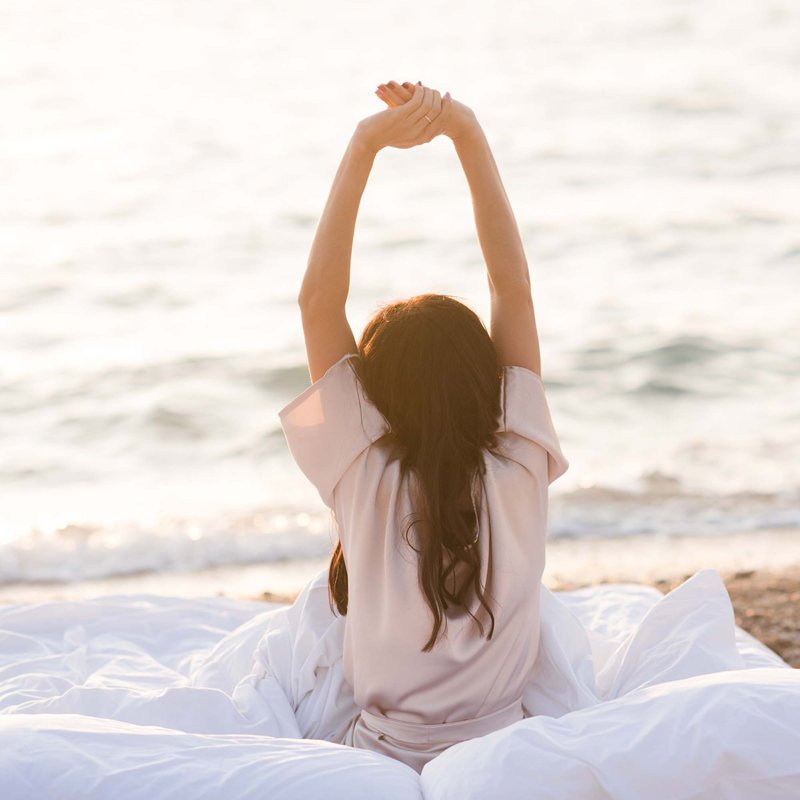 Wayfair Goose Feather Down Duvet All-Season Feather Down Duvet Ultra-Soft-Cotton Bed Duvet Insert With Corner Tabs