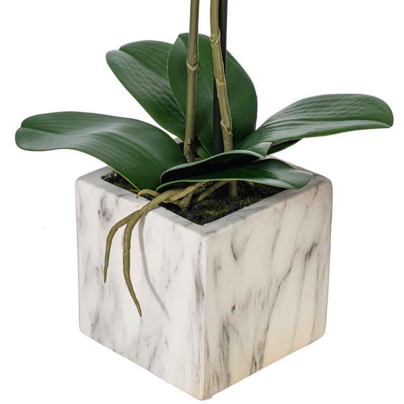 Wayfair Karelis 22" Artificial Potted Real Touch Phalaenopsis