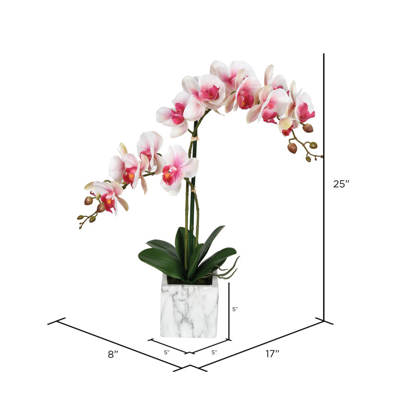 Wayfair Karelis 22" Artificial Potted Real Touch Phalaenopsis