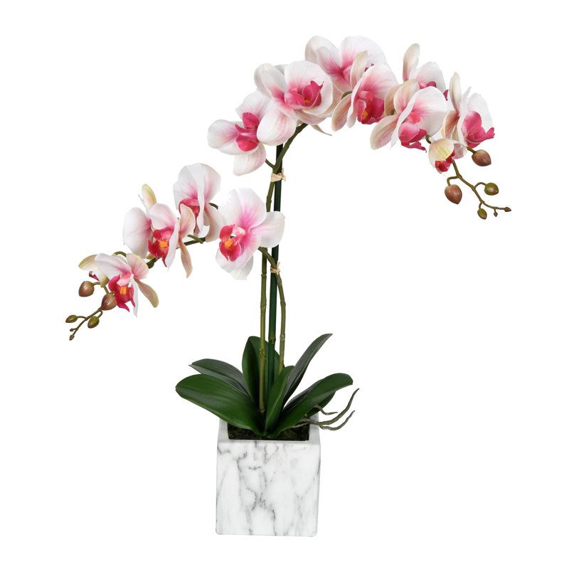 Wayfair Karelis 22" Artificial Potted Real Touch Phalaenopsis
