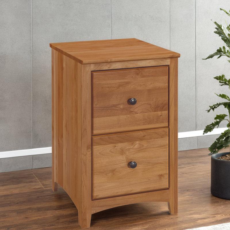 Wayfair Malani 18'' Wide 2 -Drawer Solid Wood File Cabinet