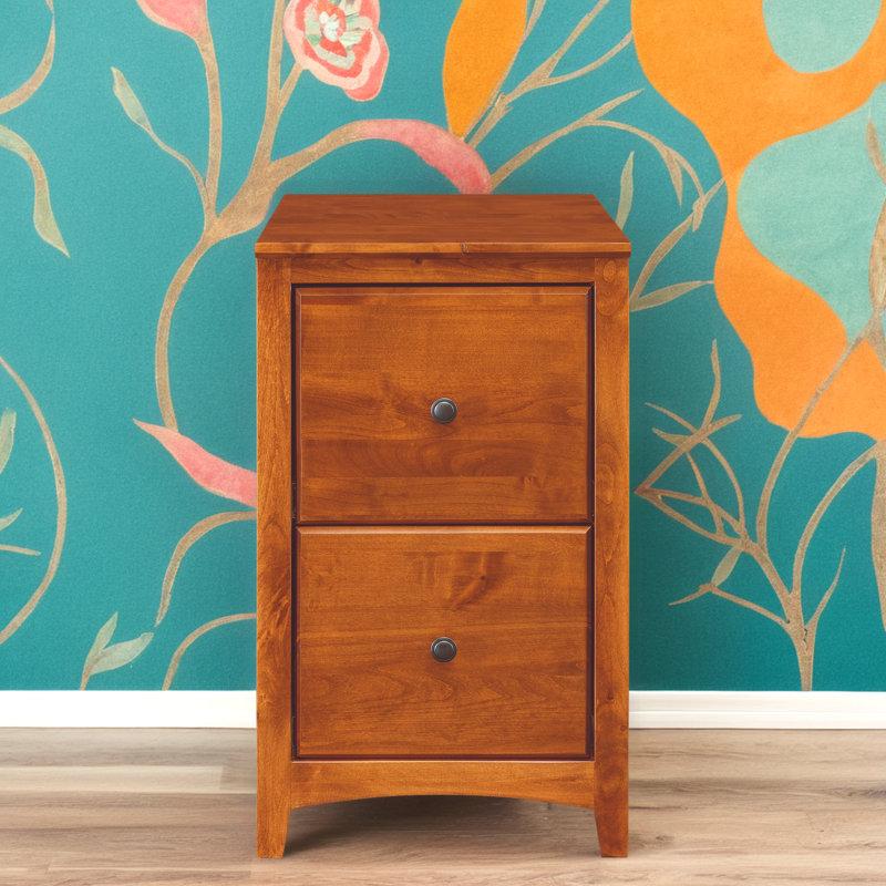 Wayfair Malani 18'' Wide 2 -Drawer Solid Wood File Cabinet