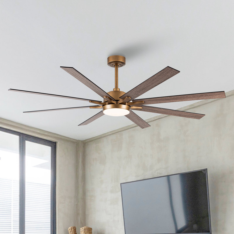 Wayfair Modern 65'' Double-Sided Blade Windmill Large Ceiling Fan With Dimmable 3CCT LED Lights And Remote Control 6-Speed Reversible DC Motor Timer 4"/10" Downrods For Indoor/Covered Outdoor