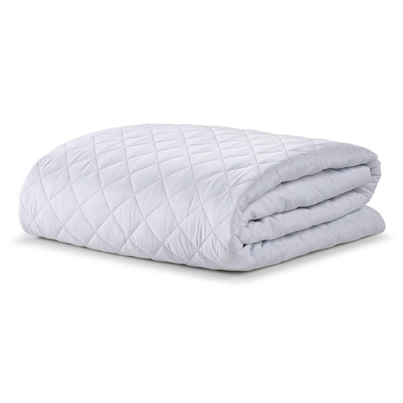 Wayfair Mona Waterproof & Hypoallergenic Mattress Protector