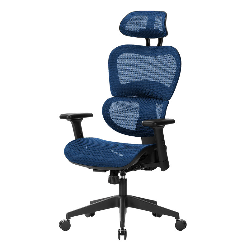 Wayfair Nouhaus Ergo3dL Home Office Desk Chairs Ergonomic Office Chair High-Back Mesh Rolling Work Chairs with Wheels and Adjustable Headrests Comfortable Lumbar Support Adjustable Armrests