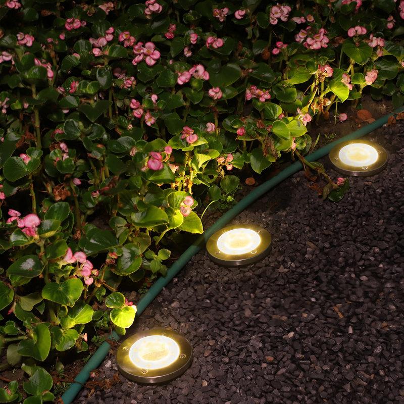 Wayfair Paradise By NEX Satin Solar Powered Integrated LED Metal Pathway Light Kit (Set Of 8)