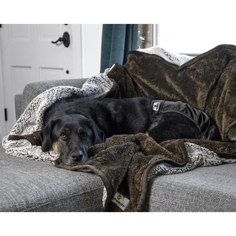 Wayfair Pet Parents® Pawtect® Blanket Premium Waterproof Dog & Cat Blanket