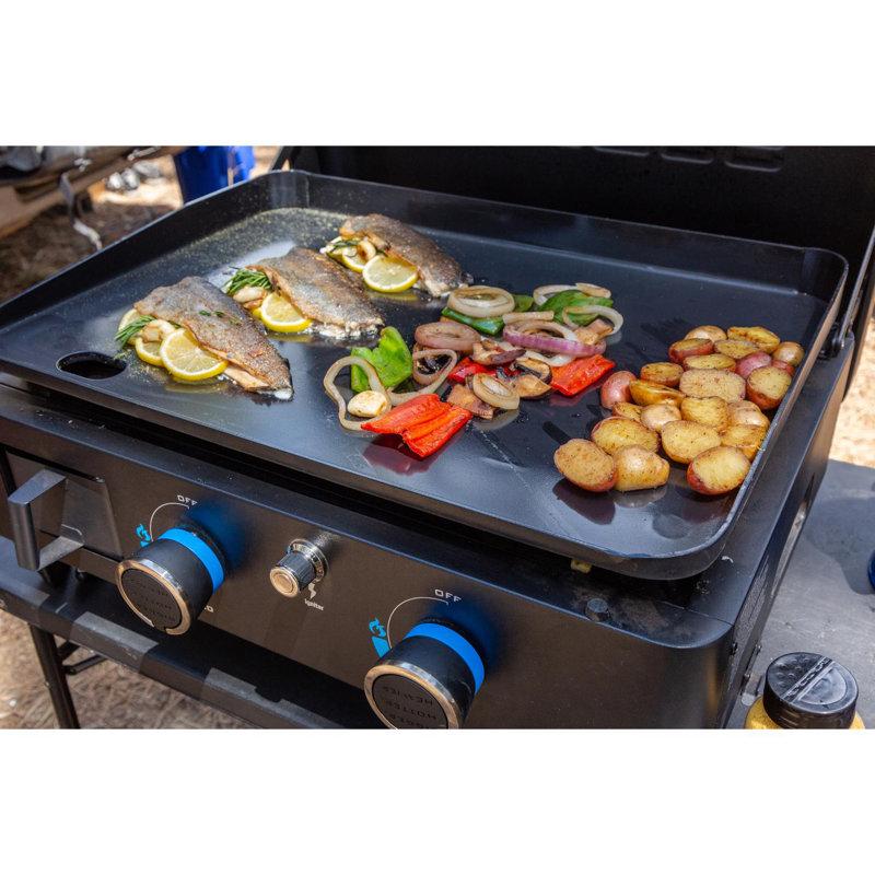 Wayfair Pit Boss Ultimate 2-Burner Gas Griddle: Freestanding Base And Lift-Off Portable Top