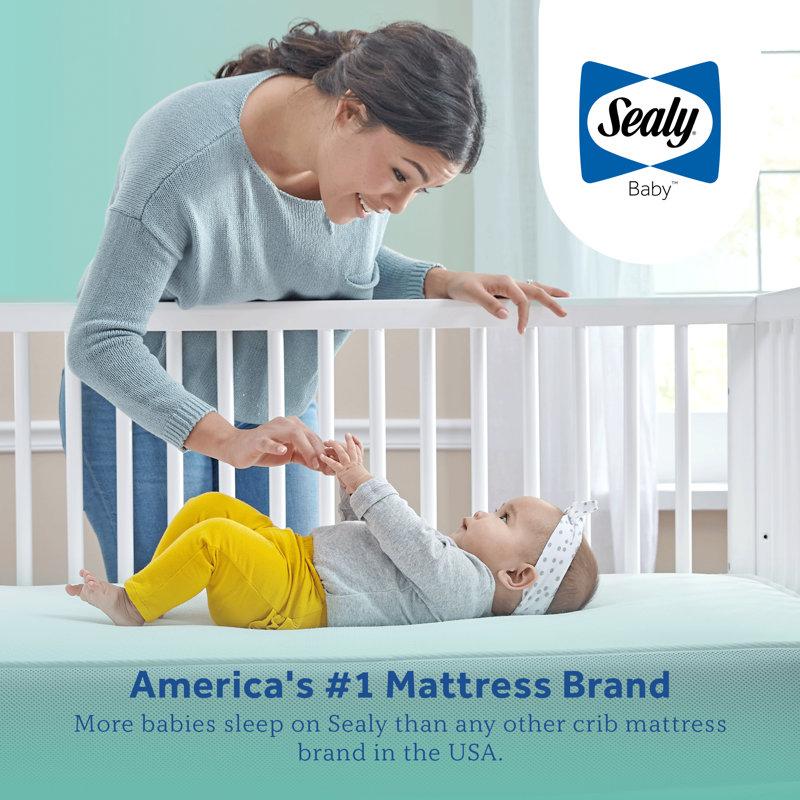 Wayfair Sealy Baby Posture Perfect 2 Stage Breathable Crib Mattress & Toddler Mattress Hybrid Design GREENGUARD GOLD Certified 52"x28"