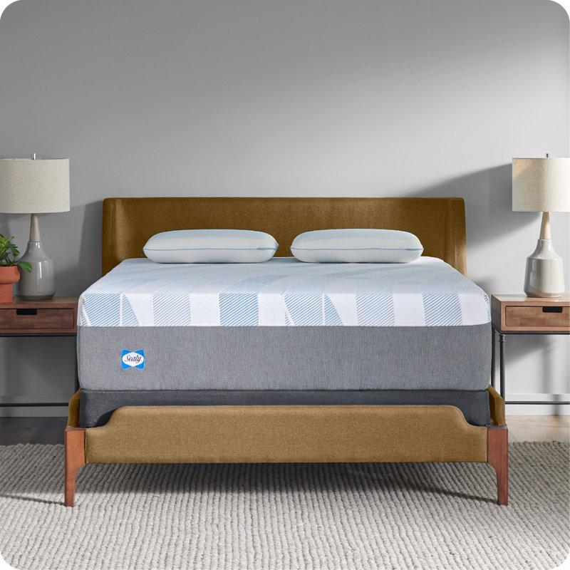 Wayfair Sealy Dreamlife 14” Plush Foam Mattress-in-a-Box