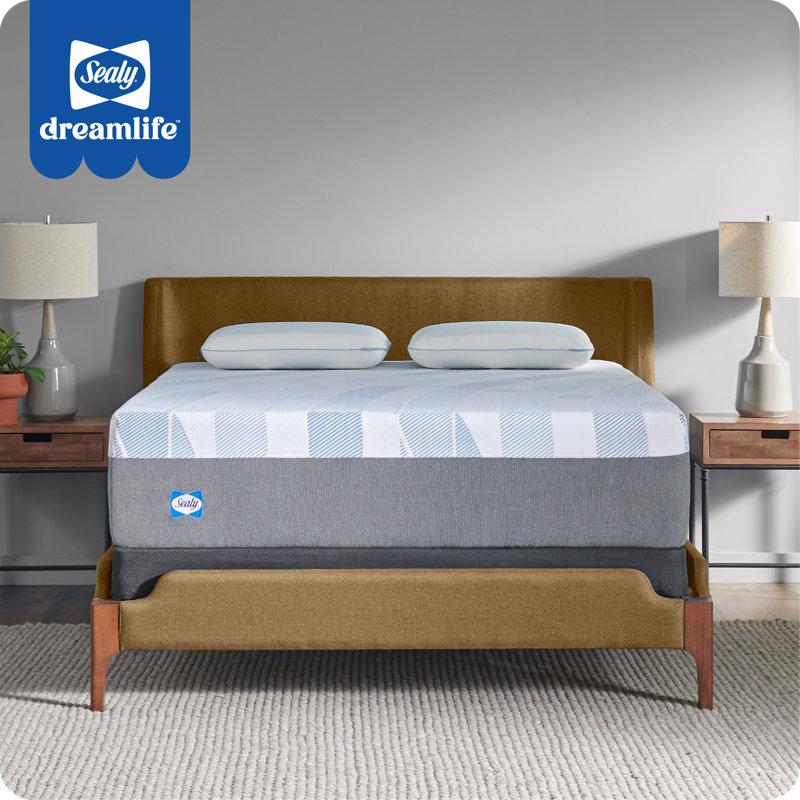 Wayfair Sealy Dreamlife 14” Plush Foam Mattress-in-a-Box