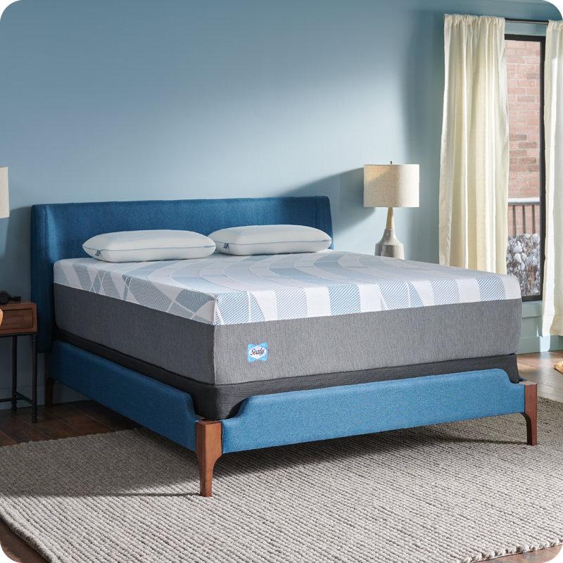 Wayfair Sealy Dreamlife 14” Plush Foam Mattress-in-a-Box