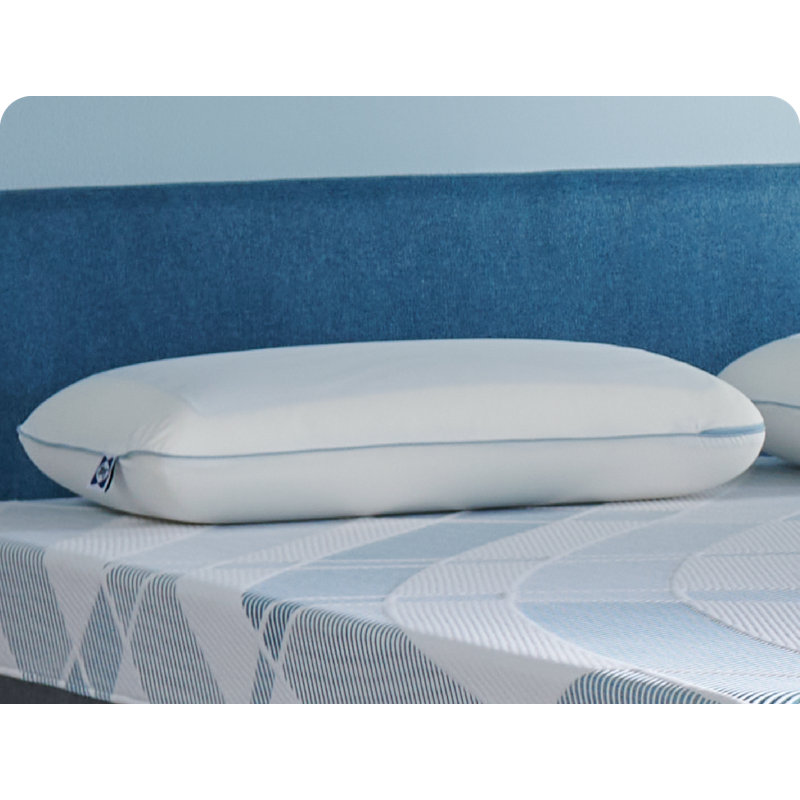 Wayfair Sealy Dreamlife Memory Foam Gel Medium Firm Pillow Standard - Dual Pack (Set Of 2)