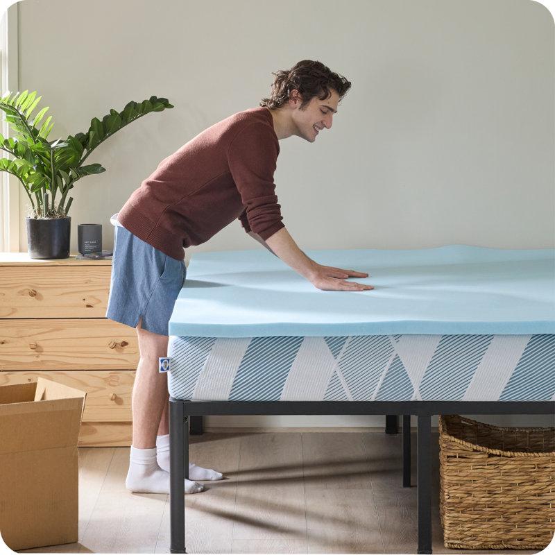 Wayfair Sealy® Dreamlife™ 1.5" Topper Twin XL And Molded Pillow Bundle