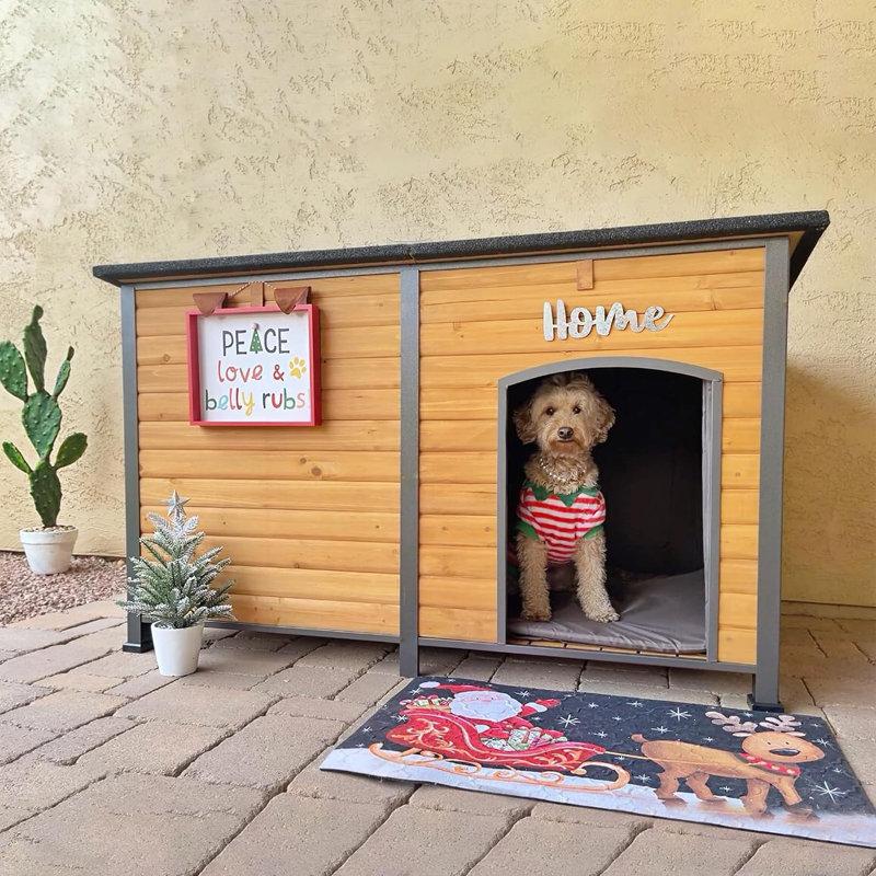 Wayfair Solid Wood Portable Insulated Igloo Style Dog House