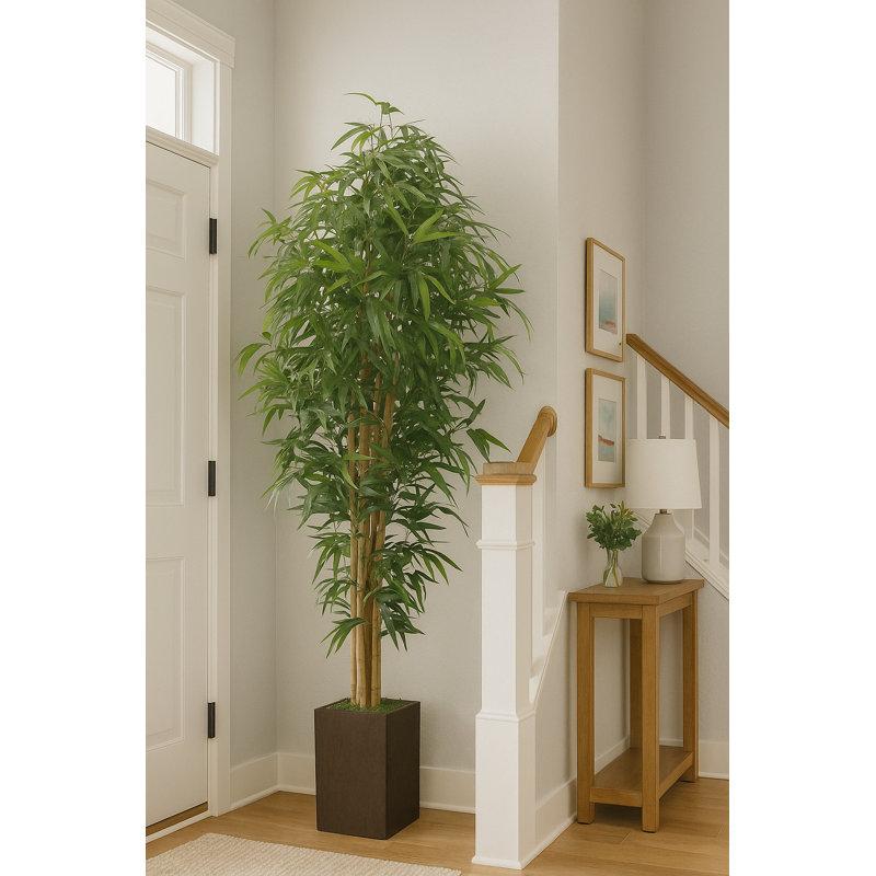 Wayfair Tall High End Realistic Silk Floor Bamboo Tree In Planter